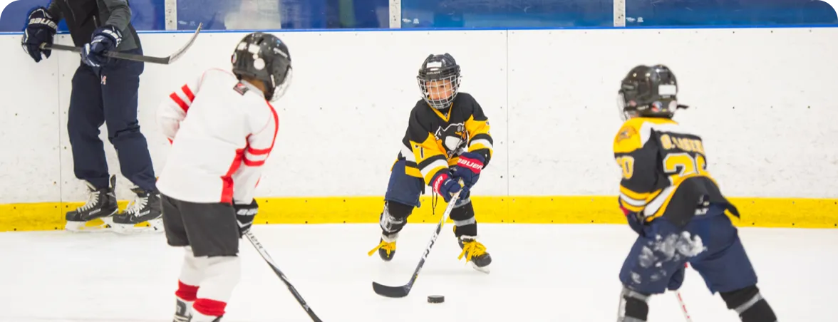 Ice Dreams - Advanced Hockey Academy image
